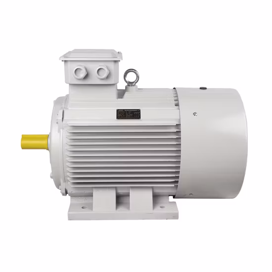 Explosion Proof Flameproof Asynchronous Synchronous AC DC Electrical Induction Electric Motor